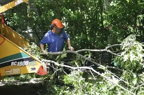 tree services Humphrey